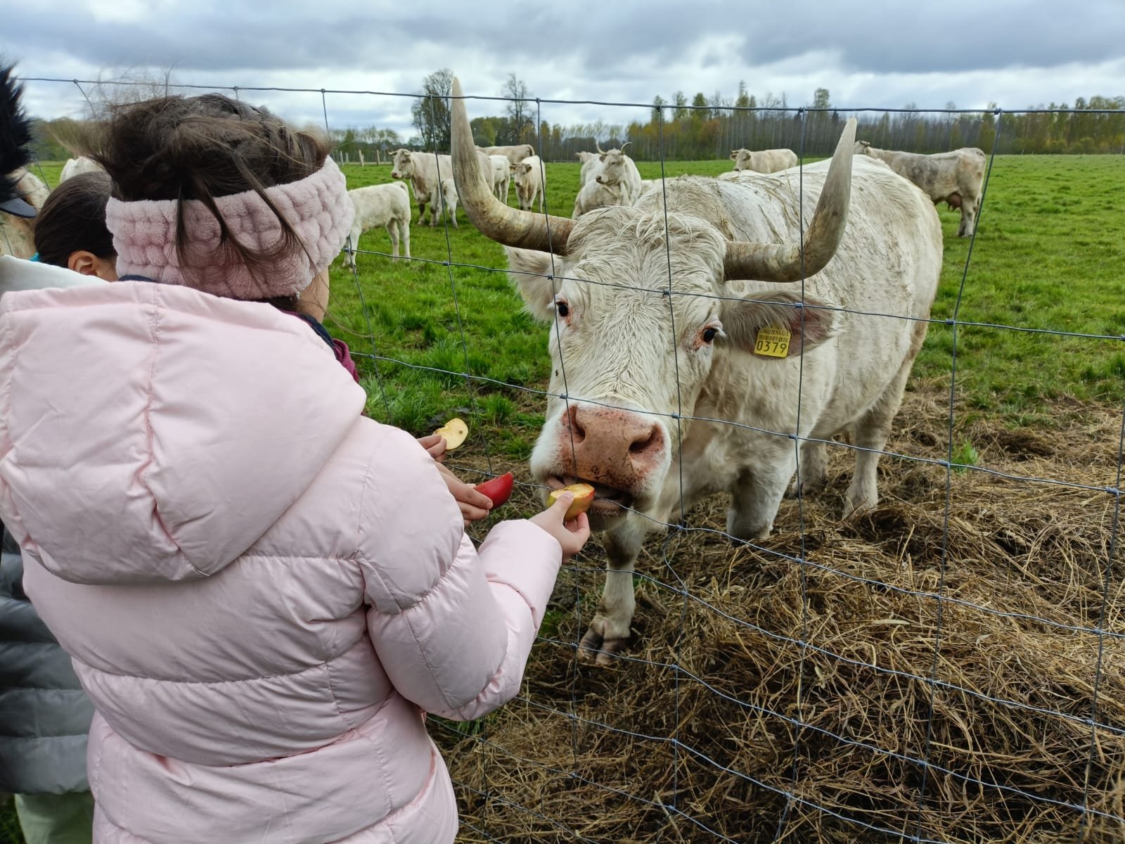 WhatsApp Image 2025-05-07 at 12.32.02