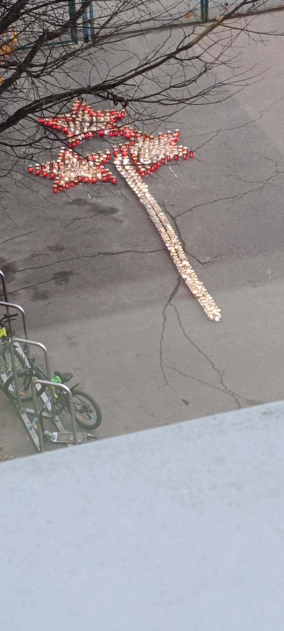 WhatsApp Image 2025-11-11 at 09.00.32.jpeg