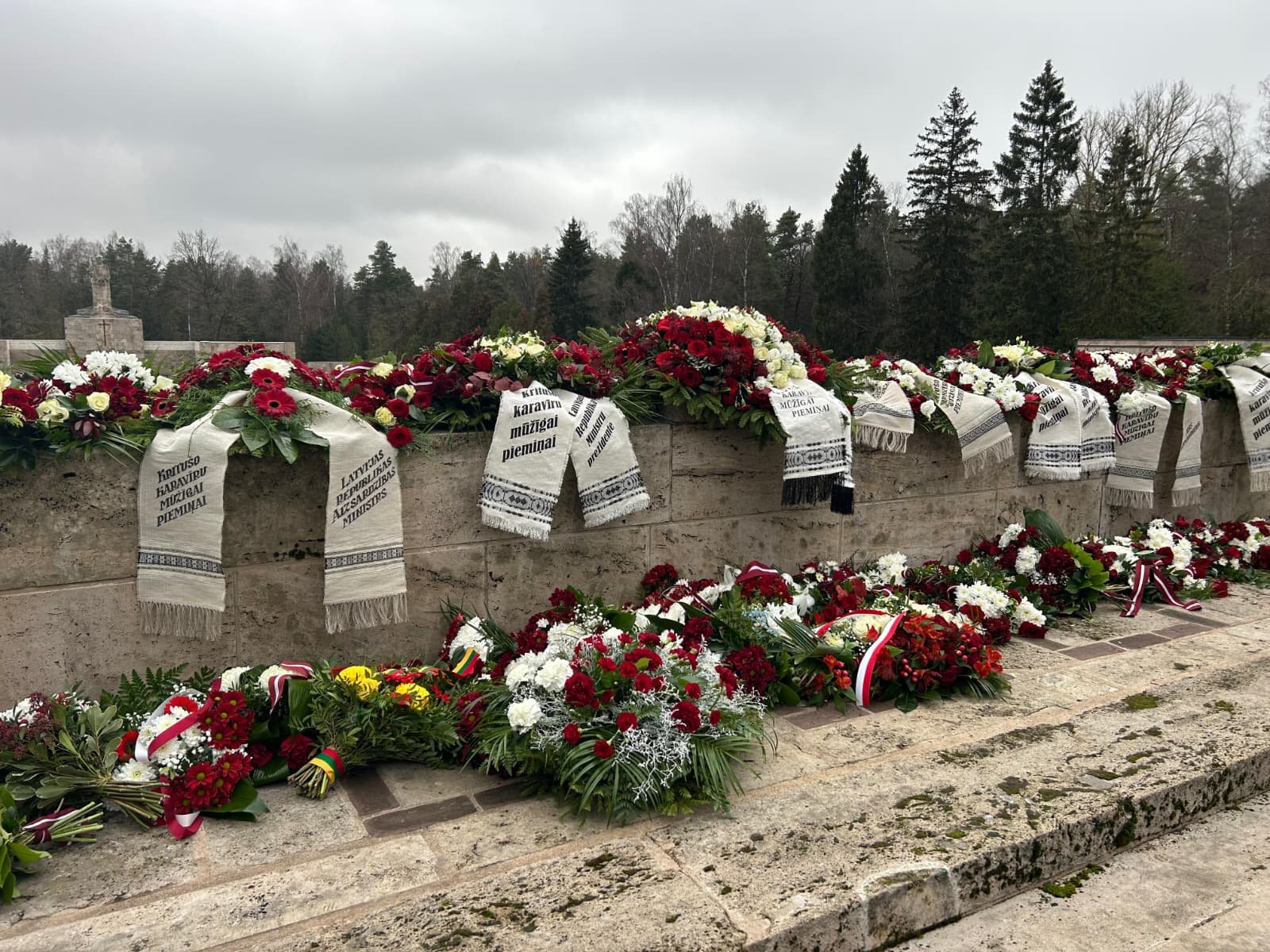 WhatsApp Image 2025-11-13 at 11.43.36.jpeg