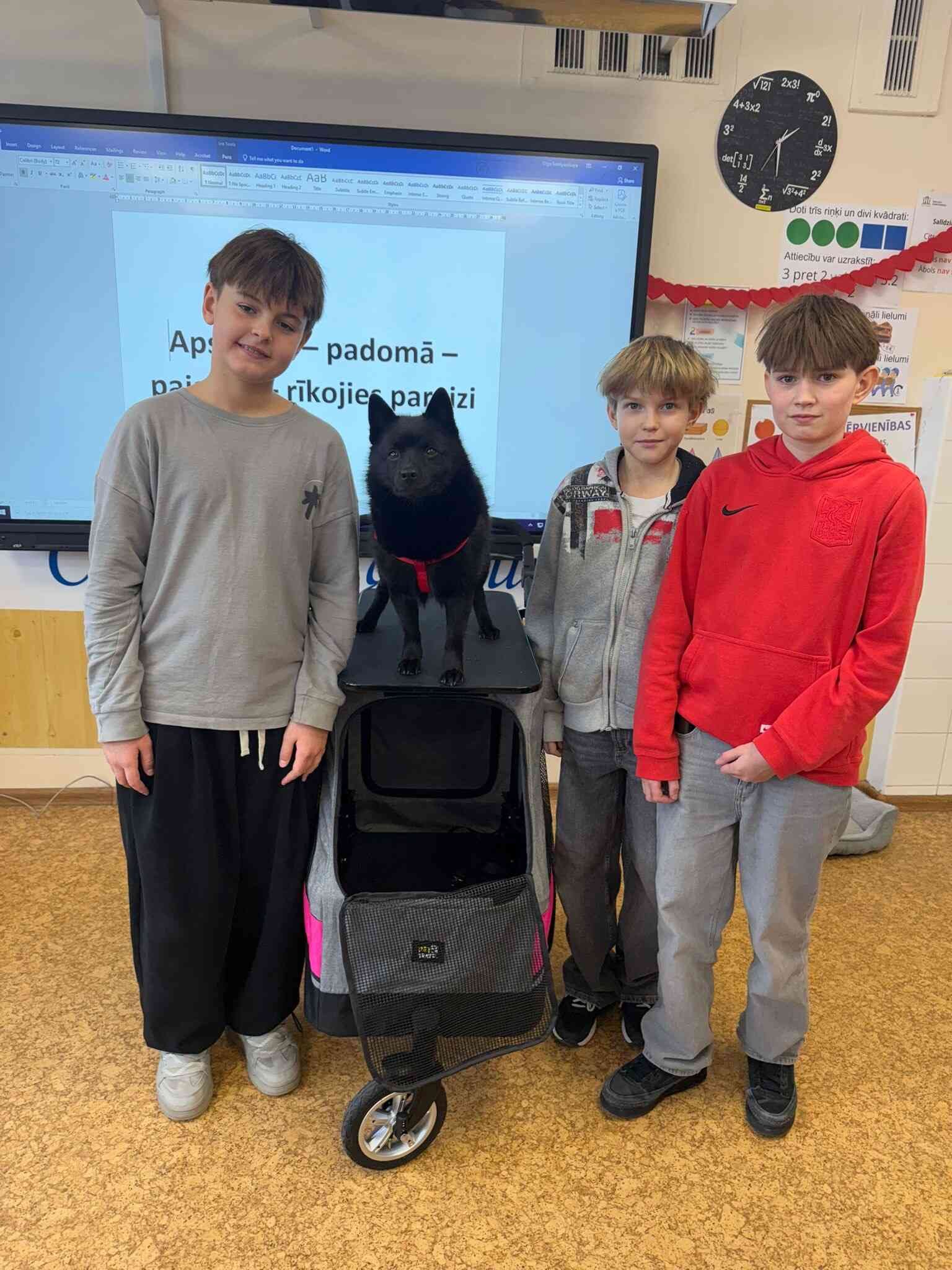 c8bf5733-7bc7-4858-9a82-562606267fec